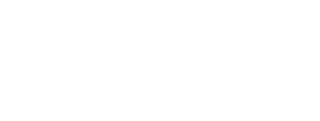 Orange Logo